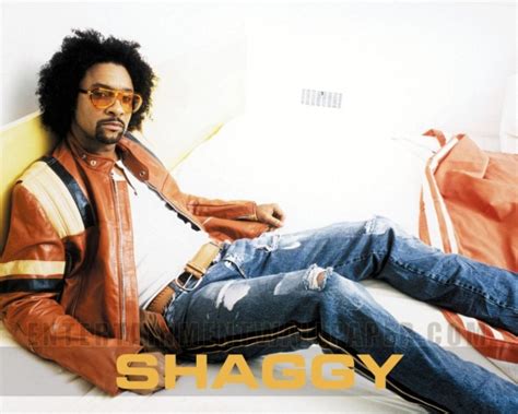 Shaggy - The Boombastic