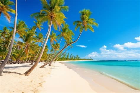 Premium AI Image | Palm trees on a beach in the bahamas