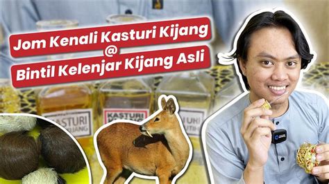 Wangian Kasturi Berasal Dari Kijang Asli Sharifah Trading YouTube