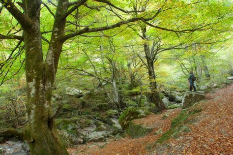 Instantes fotos de Sebastián Navarrete Paisajes otoñales 22 destinos