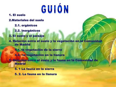 El suelo la vegetación y la fauna PPT