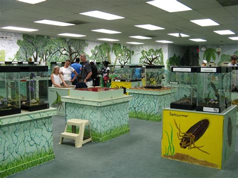 Insectarium 8046 Frankford Avenue Northeast Philadelphia