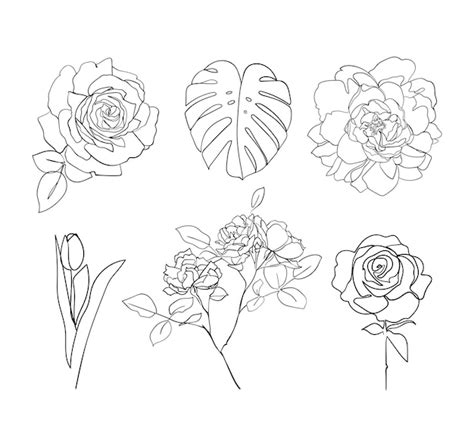 Satz Von Bl Ttern Und Blumen Strichzeichnungen Vektor Illustration