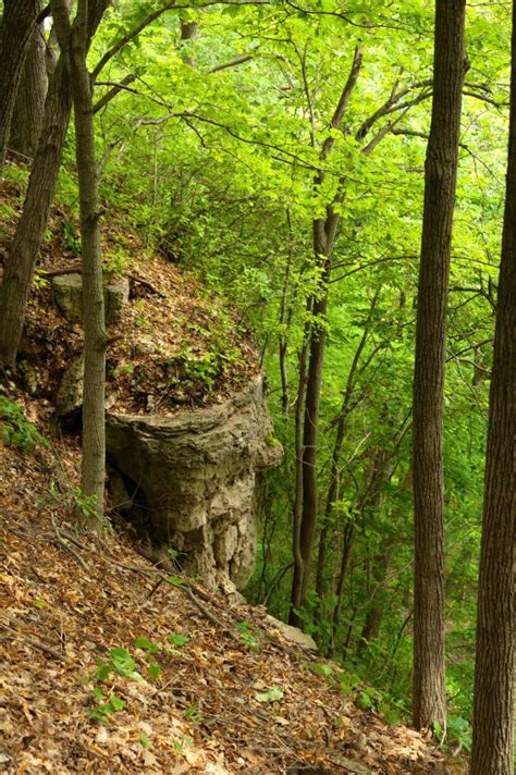 Iowa Has A Grand Canyon Pikes Peak State Park And It S Incredibly Beautiful State Parks