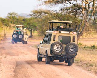 Südafrika Highlights Garden Route bis Krüger NP WeDesignTrips