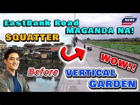 Pasig News Update Dating Squatter Area Vertical Garden Na Ngayon