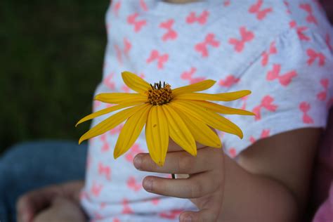 7 Ideas Para Desarrollar El Valor De La Solidaridad En Los Niños