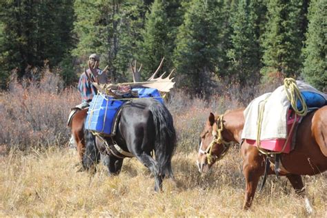 How to Plan a Moose Hunting Trip in Canada: Logistics and Budgeting