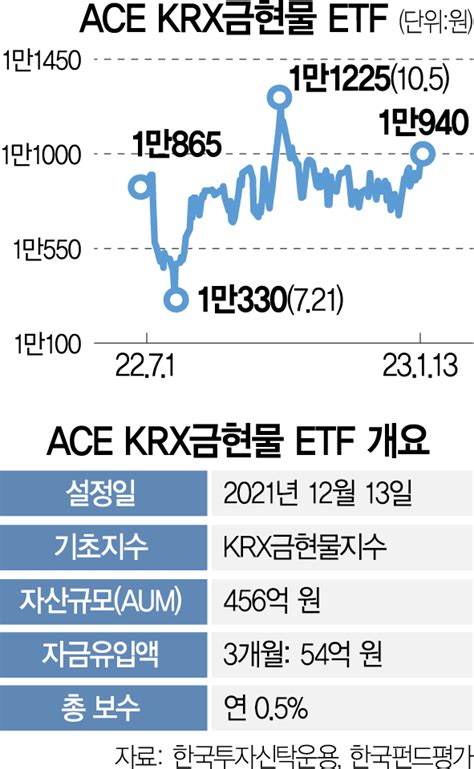 Etf줌인 금값 치솟는데···국내 유일 금현물 Etf 투자해볼까 네이트 뉴스