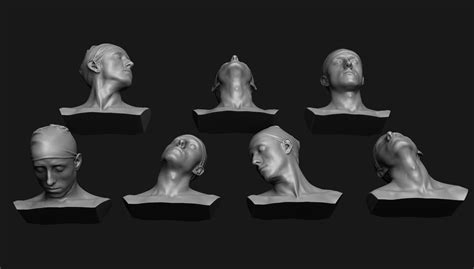 Neck Anatomy Reference Set 3D model 3D printable | CGTrader