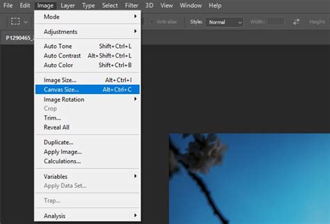 💻 ¿cómo Cambiar El Tamaño De Una Capa En Photoshop Curso Crehana