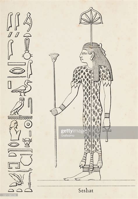 Ancient egyptian hieroglyph of Seshat Seshat, under various... in 2024 | Egyptian hieroglyphics ...