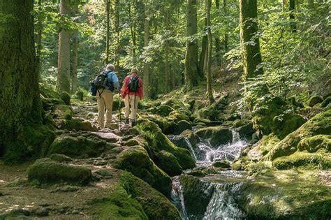 Geo Tour Gertelbacher Wasserfälle Schwarzwald Tourismus GmbH