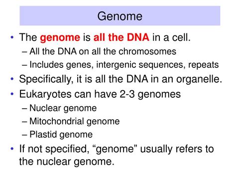 PPT - Genome Structure PowerPoint Presentation, free download - ID:3042325