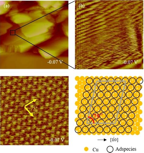 In Situ Highresolution Stm Images Of Copper Nuclei A In Situ Stm