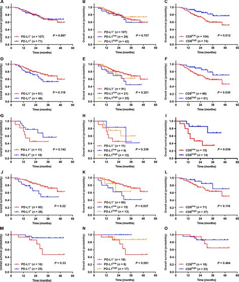 Prognostic Value Of Pdl Expression In Combination With Cd Tils