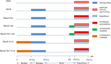 Procedures Of Hemorrhagic Shock And Resuscitation Rat Model And Animal