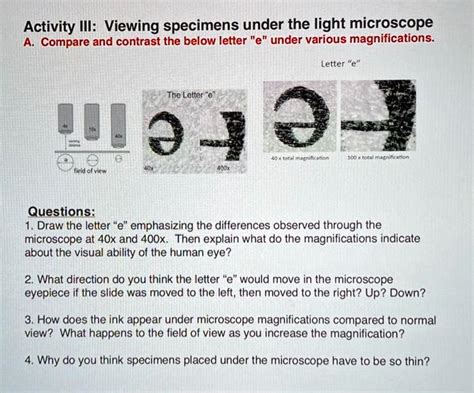 Activity Ill Viewing Specimens Under The Light Microscope Compare And