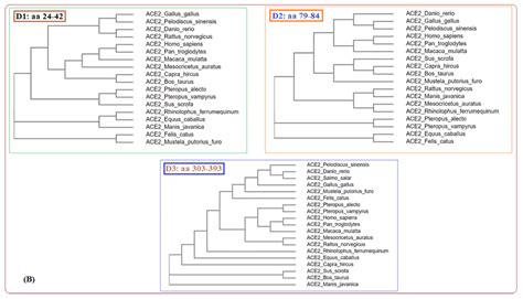 multiple sequence alignments      domains  ace