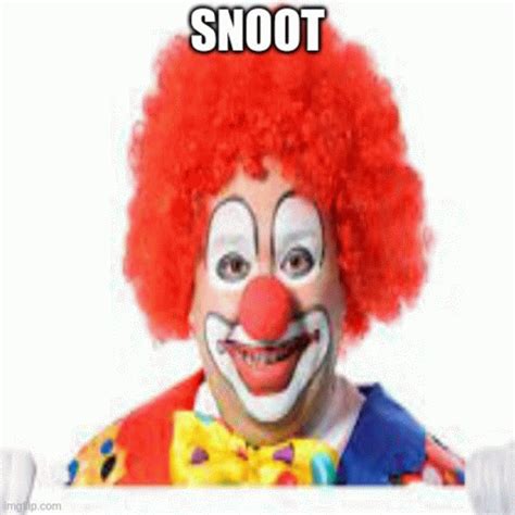 snoot gif snoot discover share gifs