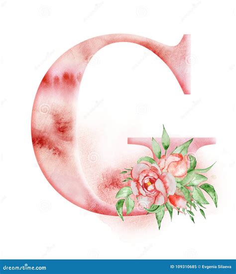 Floral Watercolor Alphabet Monogram Initial Letter G Design With Hand Drawn Peony Flower Stock