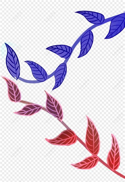 Aesthetic Leaves Decoration Flower Leaves Leaves Lines Branches