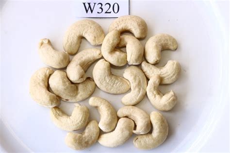 Whole W320 Cashew Nuts At Rs 580 Kg In Contai ID 2851205770333