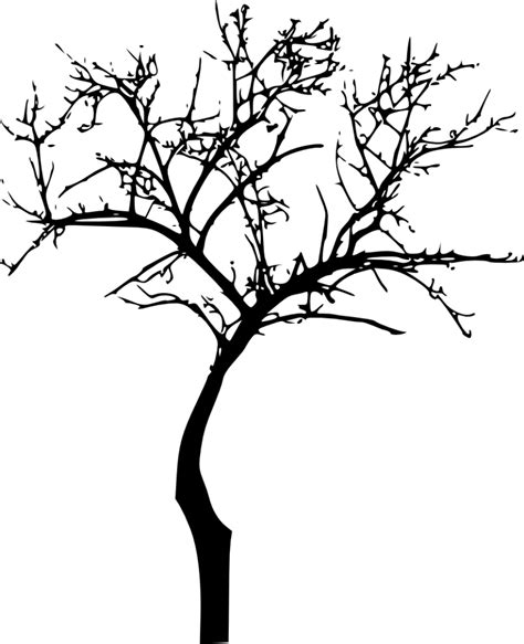 18 Bare Tree Silhouette PNG Transparent Vol 2 OnlyGFX