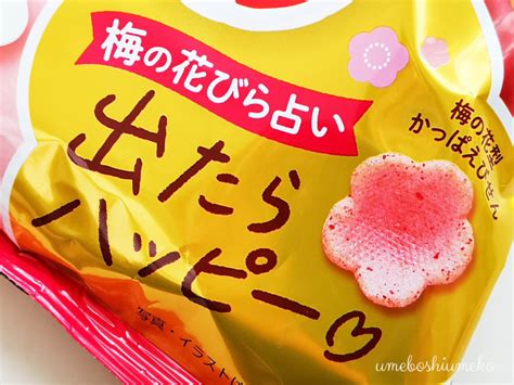 【2023年期間限定梅味のお菓子】今年も続々新発売！食べた感想レビュー！！ 梅干梅子の365日梅life