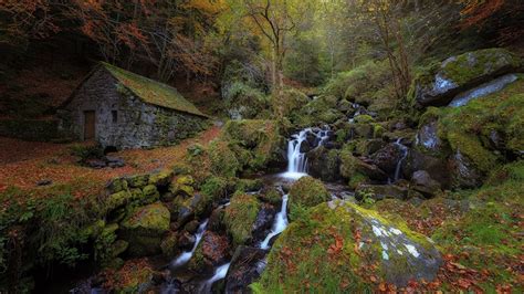 Fonds D Ecran Automne Forêts Maison Ruisseau Bryophyta Nature Télécharger Photo