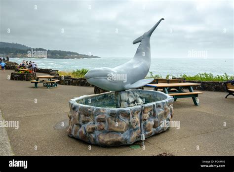 Depoe bay whale watching hi-res stock photography and images - Alamy