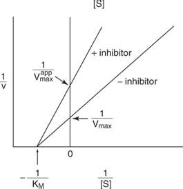 Six Types of Enzyme Catalysts