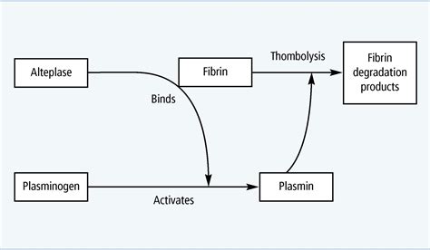 Alteplase Mechanism Of Action