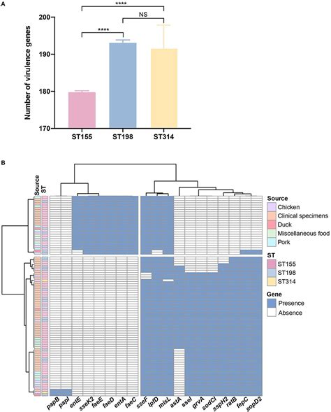 Frontiers Genomic Characterization Of Salmonella Enterica Serovar