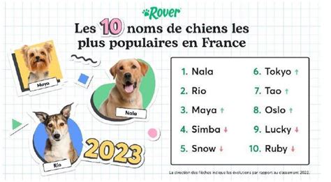 INFO RTL Découvrez les noms de chiens les plus donnés en France