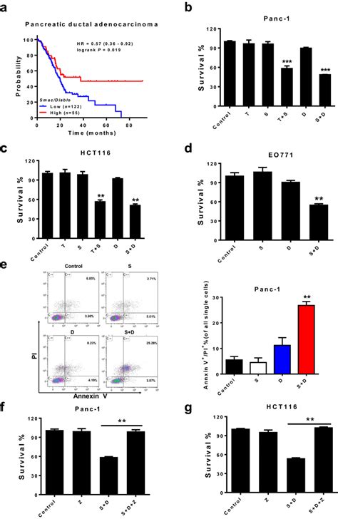 Doxorubicin Synergizes With Smac Mimetic To Trigger Apoptosis In Cancer