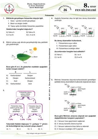 S N F Fotosentez Pdf