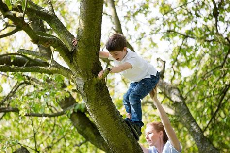 How To Climb A Big Tree at Mary McFarland blog