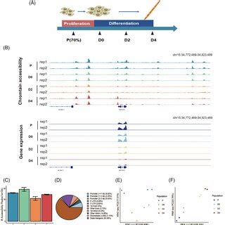 Comprehensive Profiling Of The Chromatin Accessibility And