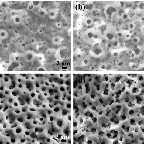 A Surface Topography Of The Ti 45Al 8 5 Nb Alloy And Ti 45Al 8 5 Nb