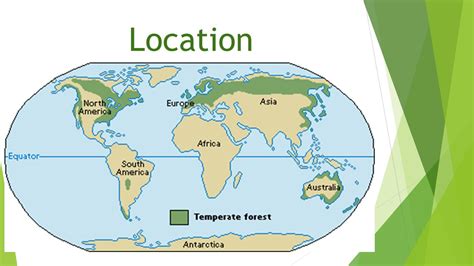 Temperate Evergreen Forest Map