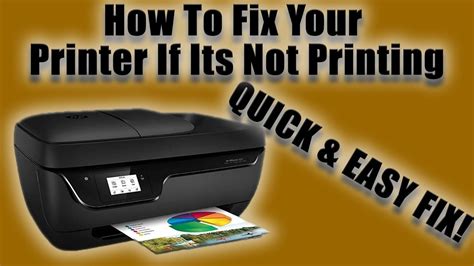 How To Fix Your Printer If Its Not Printing! QUICK AND EASY FIX! - YouTube