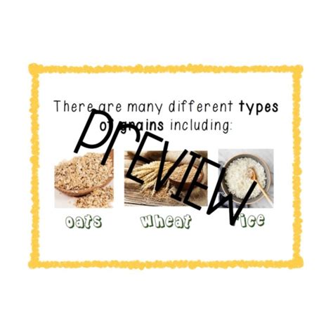 The 5 Food Groups • Teacha!