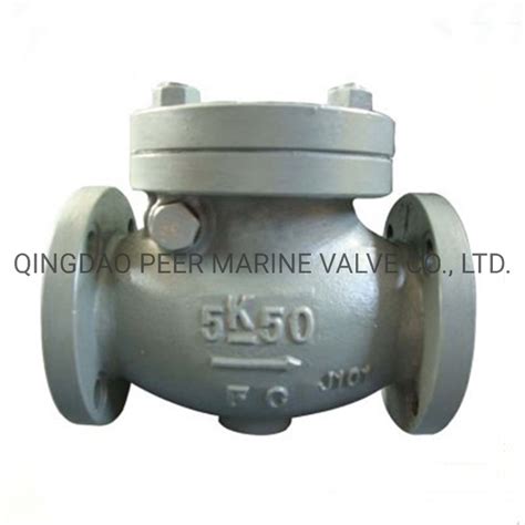 Jis F Marine Cast Iron Kg Swing Check Valve Globe Valve And