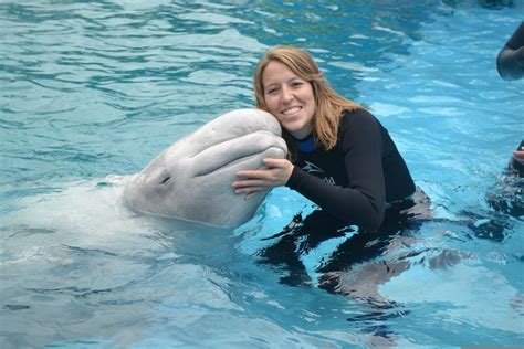 Swimming With Beluga Whales At Seaworld San Antonio Happy Whales Make