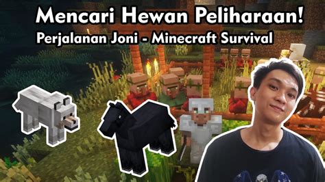 Mencari Hewan Peliharaan Minecraft Survival YouTube