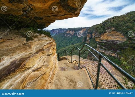 Caminando En Las Monta As Azules Parque Nacional Australia Foto De