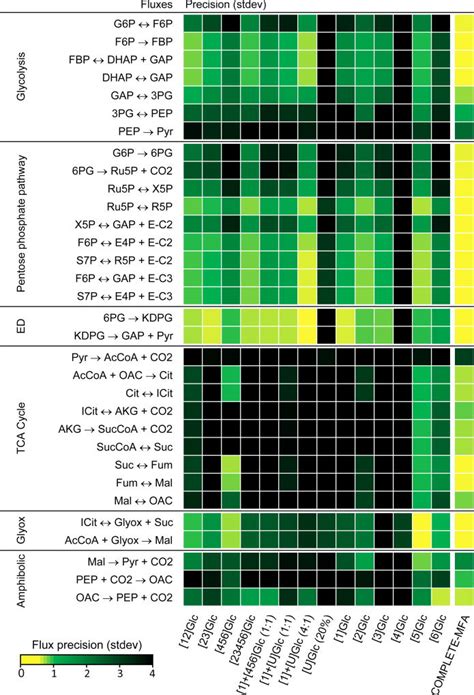 Integrated 13c Metabolic Flux Analysis Of 14 Parallel Labeling