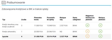 Finalist Twoje finanse w dobrych rękach Jak analizować raport BIK