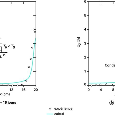 Comparaison Entre Profils De Teneur En Eau Calculés Et Mesurés Cas De